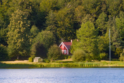 Scenic view of lake against trees in forest