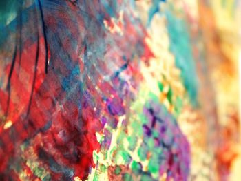 Close-up of multi colored leaves