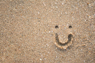 High angle view of footprints on sand