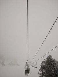 Low angle view of trees against sky