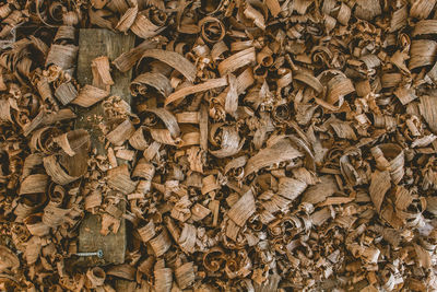 Full frame shot of pattern