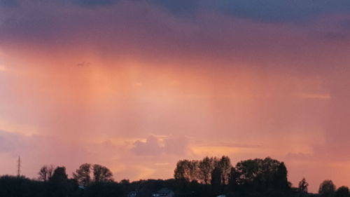 Low angle view of silhouette trees against sky