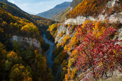 Scenic view of mountains