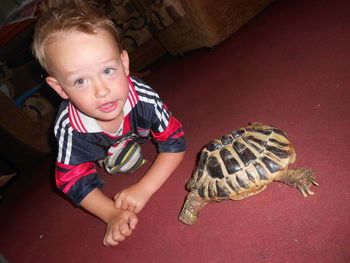 Portrait of cute boy tortoise on floor