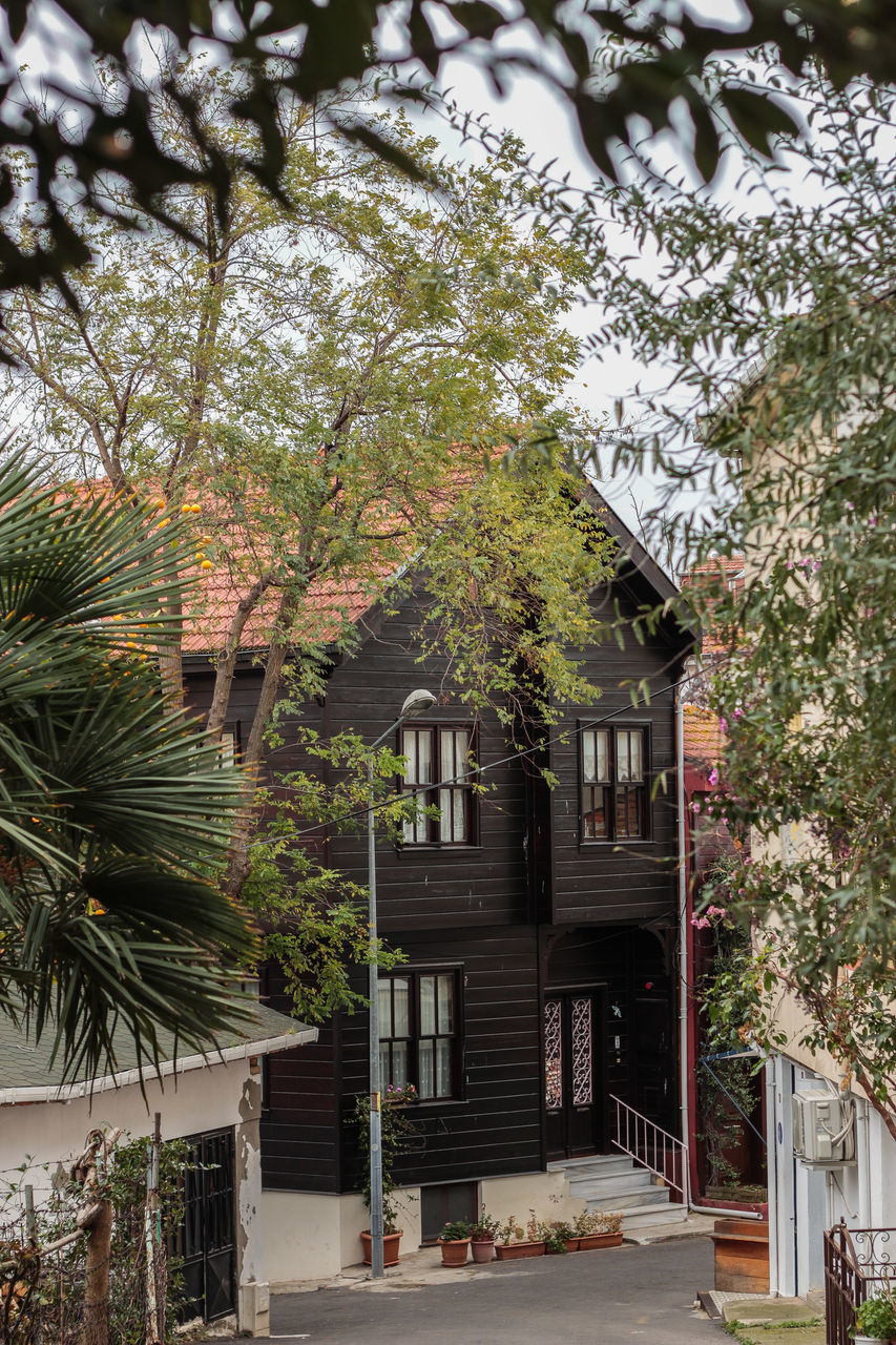 plant, tree, architecture, built structure, building exterior, building, growth, nature, house, day, outdoors, no people, city, residential district, flowering plant, flower, front or back yard, window, table