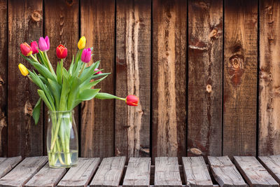 Close-up of tulips on wood