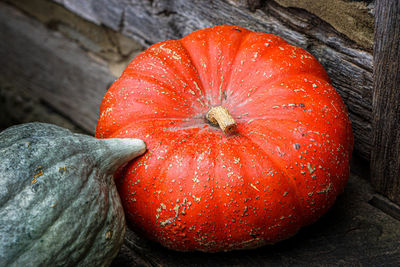 High angle view of orange pumpkin on wood