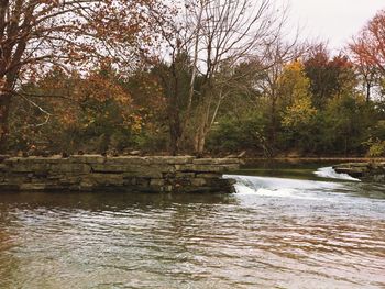 Scenic view of lake in forest during autumn