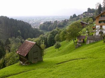 Scenic view of trees and houses on field against sky