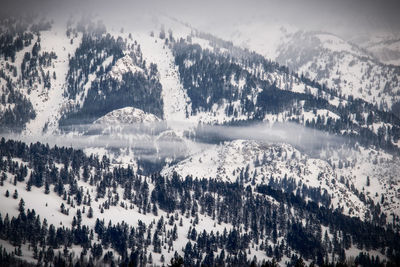 High angle view of trees on snowcapped mountains against sky