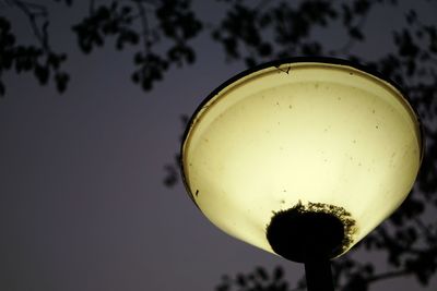 Close-up of drink in glass