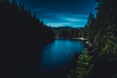 Scenic view of lake in forest against sky