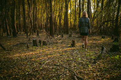 Rear view of man walking in forest