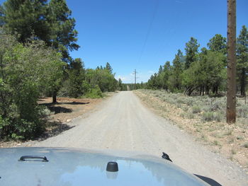 Road amidst trees against sky seen through car windshield