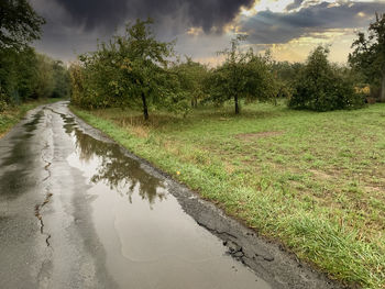 Scenic view of road amidst trees against sky