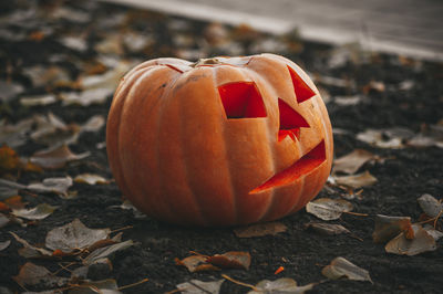 Jack o lantern on field