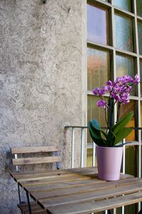 Potted plant on table against wall at home