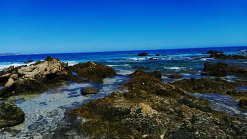 Scenic view of sea against clear blue sky