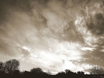 Low angle view of silhouette trees against sky