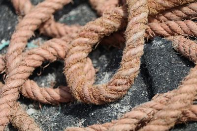 Close-up of ropes on rock