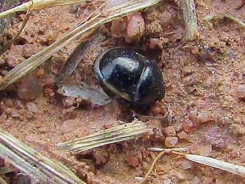 Close-up of old building