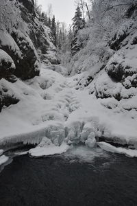 Scenic view of frozen river amidst trees during winter