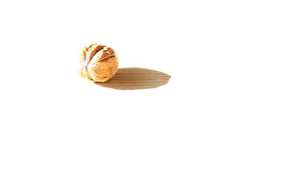 Close-up of dried over white background