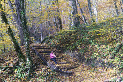 High angle view of man amidst trees in forest