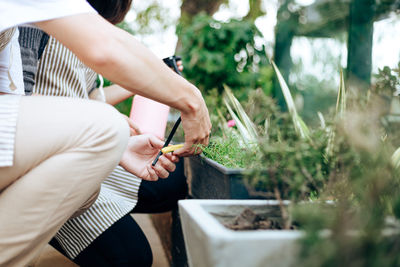 Midsection of woman holding plant