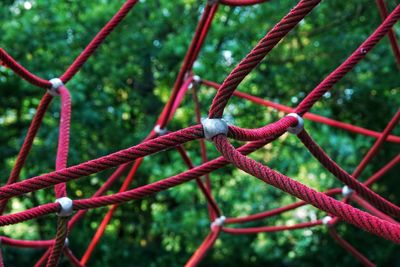 Close-up of rope on chainlink fence