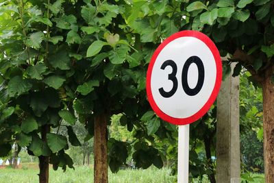 Road sign speed limit, 30 mph, on a road. transportation and sign concept.