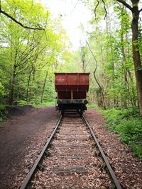 Railroad track in forest