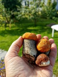 Close-up of hand holding bread