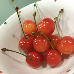 Close-up of red apple