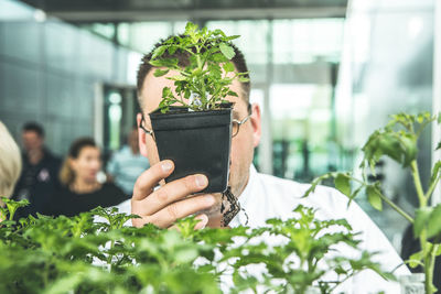 Potted plant in greenhouse