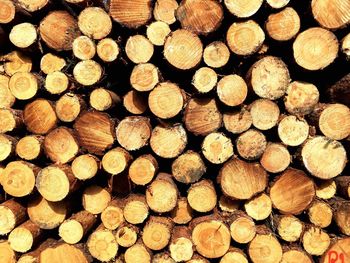 Full frame shot of firewood