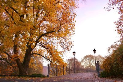 Street amidst trees against sky during autumn