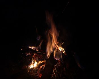 Close-up of bonfire at night