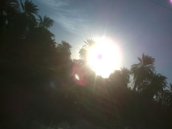 sun