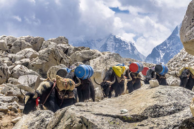 Panoramic view of people on rock against sky