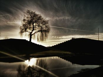 Reflection of trees in lake