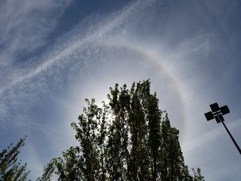 Low angle view of trees against rainbow in sky