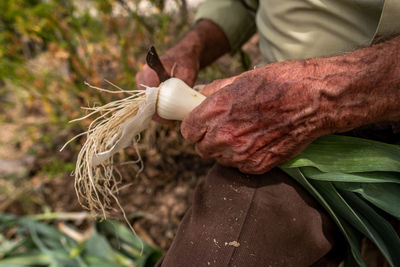 Close-up of man preparing food