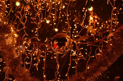 Illuminated christmas tree at night