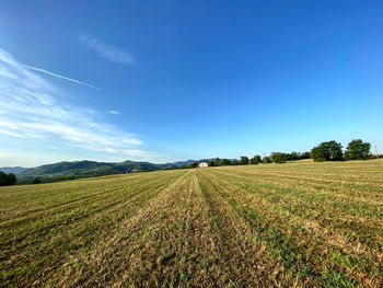 Scenic view of agricultural field against blue sky