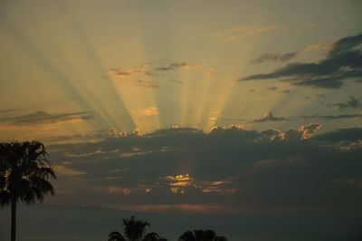 Low angle view of silhouette trees against dramatic sky
