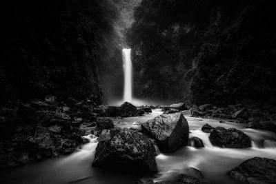 Scenic view of waterfall in forest