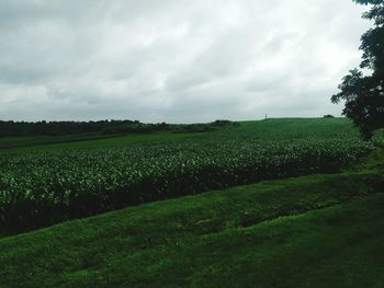 Scenic view of field against cloudy sky