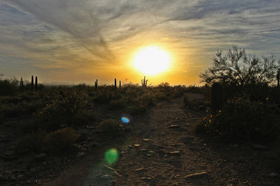 Scenic view of landscape at sunset