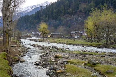 Scenic view of river stream amidst trees